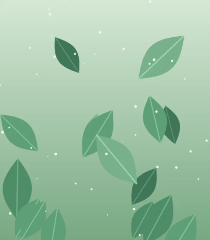Fresh peppermint leaves growing in morning light